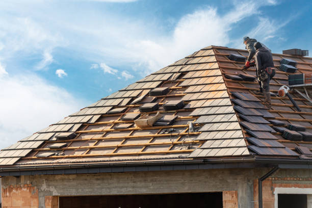 Best Roof Moss and Algae Removal  in Greenville, VA